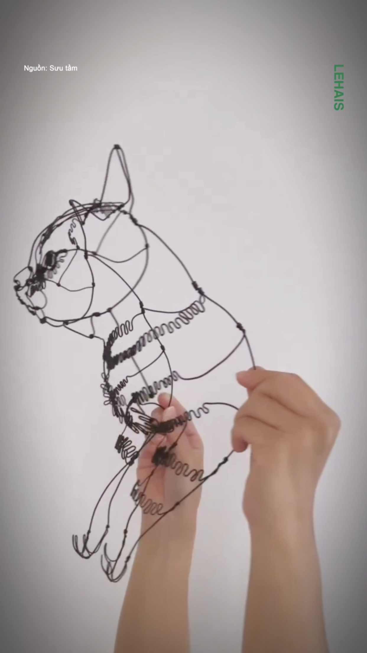 Hình con mèo được tạo từ các sơi dây thép 2
