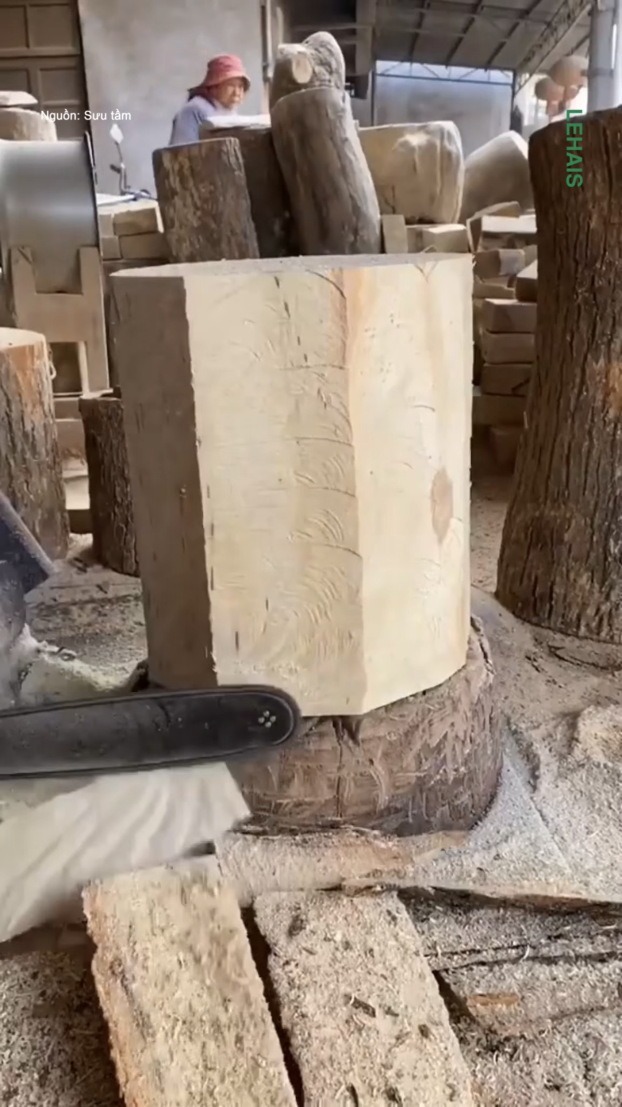 Ghế đôn được làm từ thân gỗ độc đáo 1