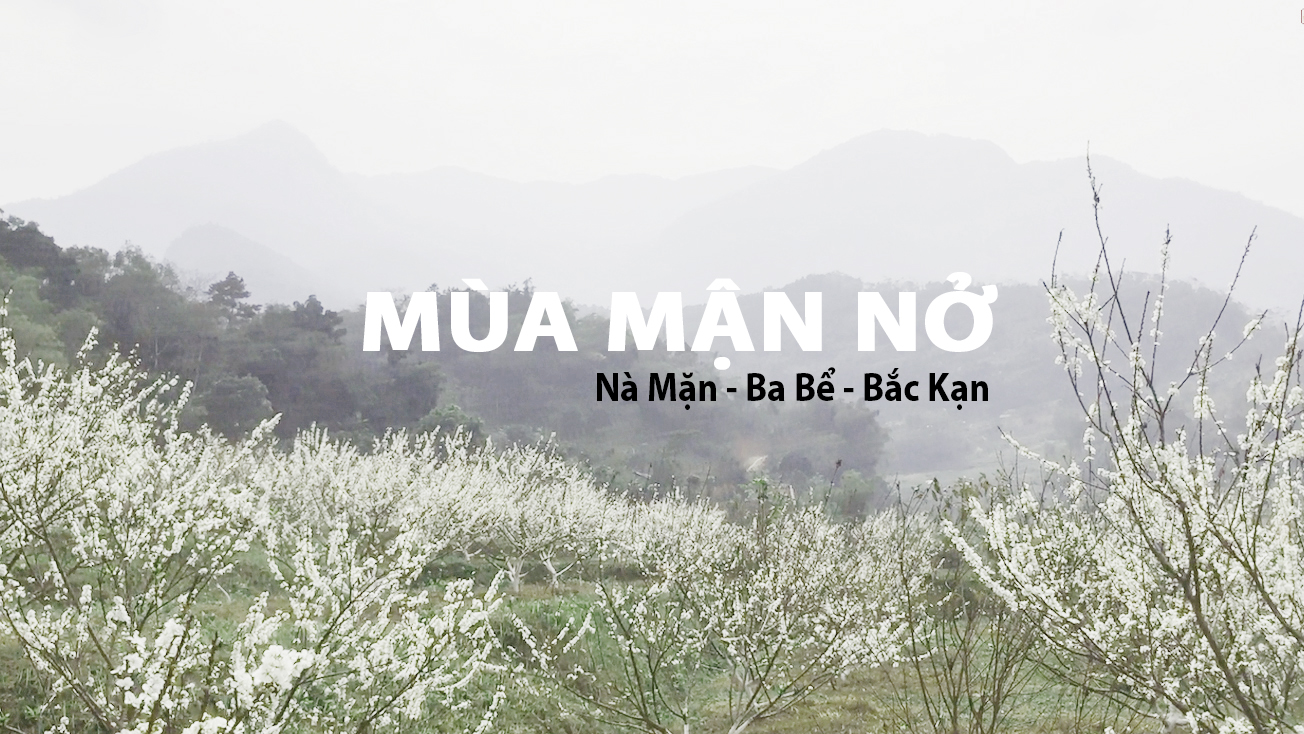 Plum blossom season and interesting experiences in Na Man - Ba Be - Bac Kan 2