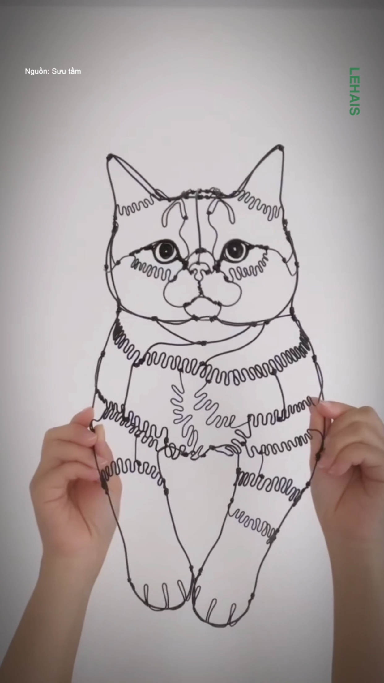Hình con mèo được tạo từ các sơi dây thép